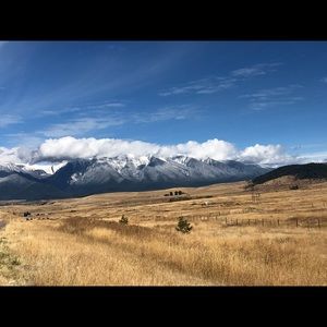 Meet your Posher, Dezi